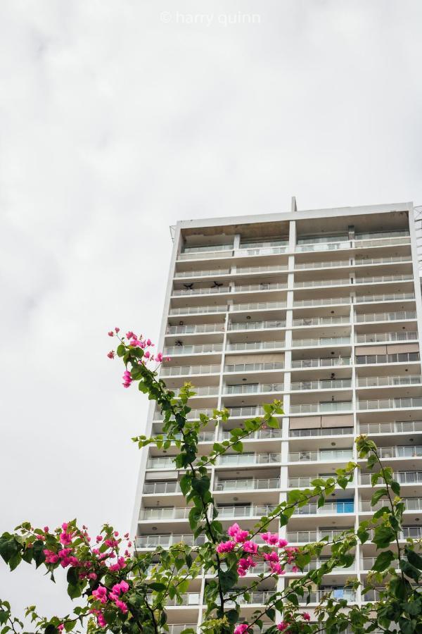 Apartamento El Palmar Residences 圣卡洛斯 外观 照片